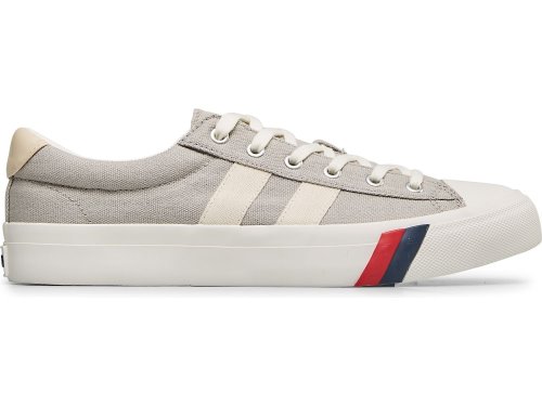 Keds Royal Plus Canvas Men's Sneakers Deep Grey | AU-18729